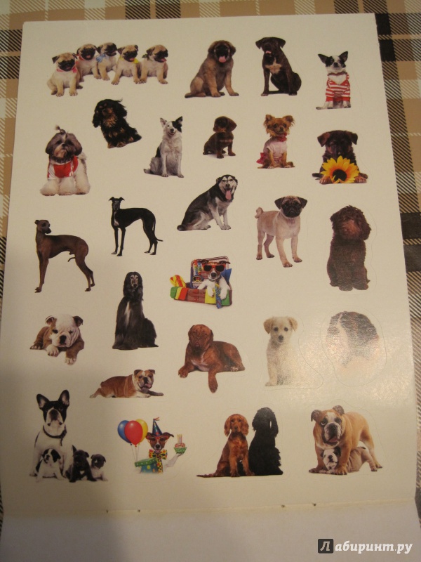 Иллюстрация 7 из 14 для 100 наклеек. Любимые собаки | Лабиринт - книги. Источник: Наталья