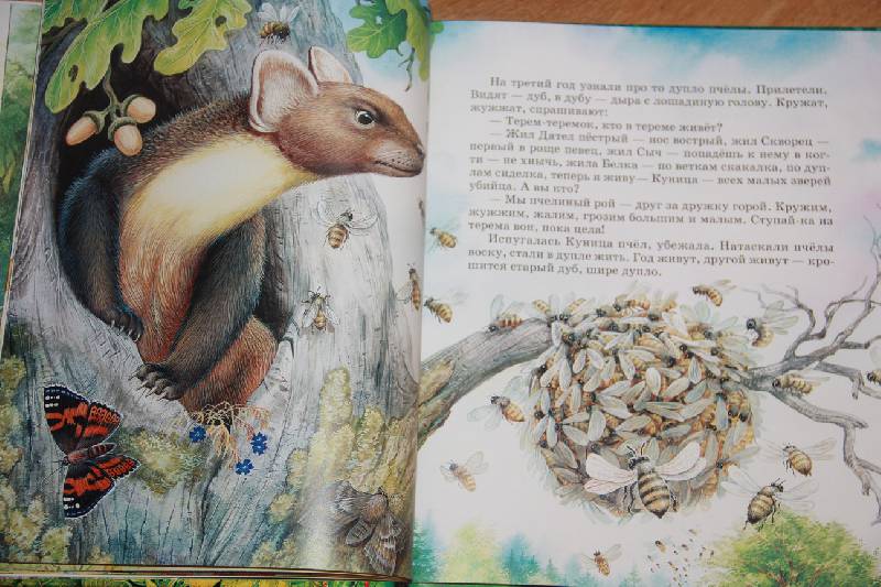 Иллюстрация 32 из 35 для Сказки о животных - Виталий Бианки | Лабиринт - книги. Источник: Vilvarin  Laurea