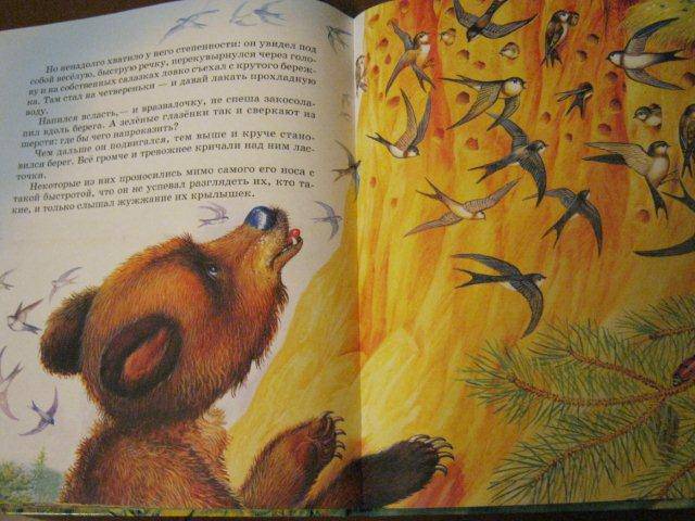 Иллюстрация 18 из 35 для Сказки о животных - Виталий Бианки | Лабиринт - книги. Источник: М-и-л-е-н-а