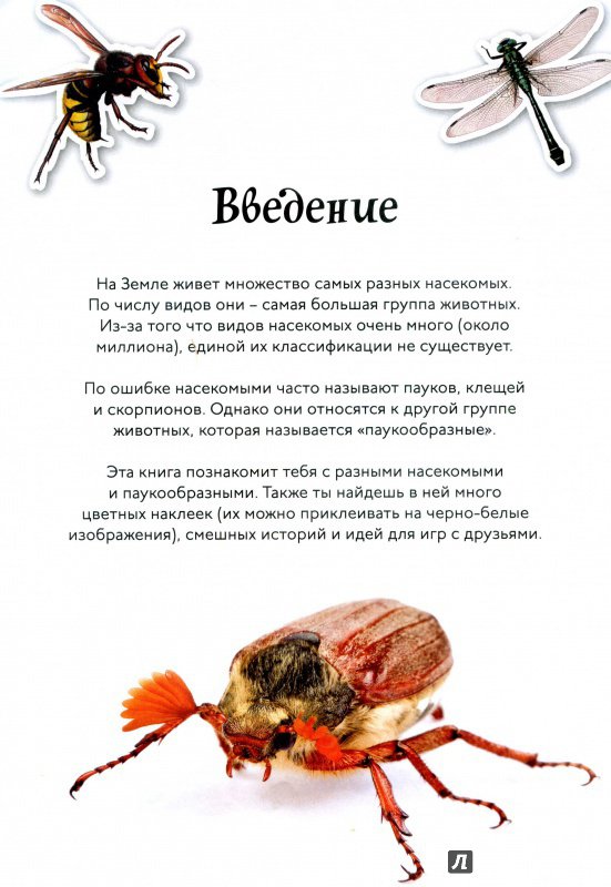 Иллюстрация 12 из 17 для Пауки и насекомые | Лабиринт - книги. Источник: Полецкая  Яна
