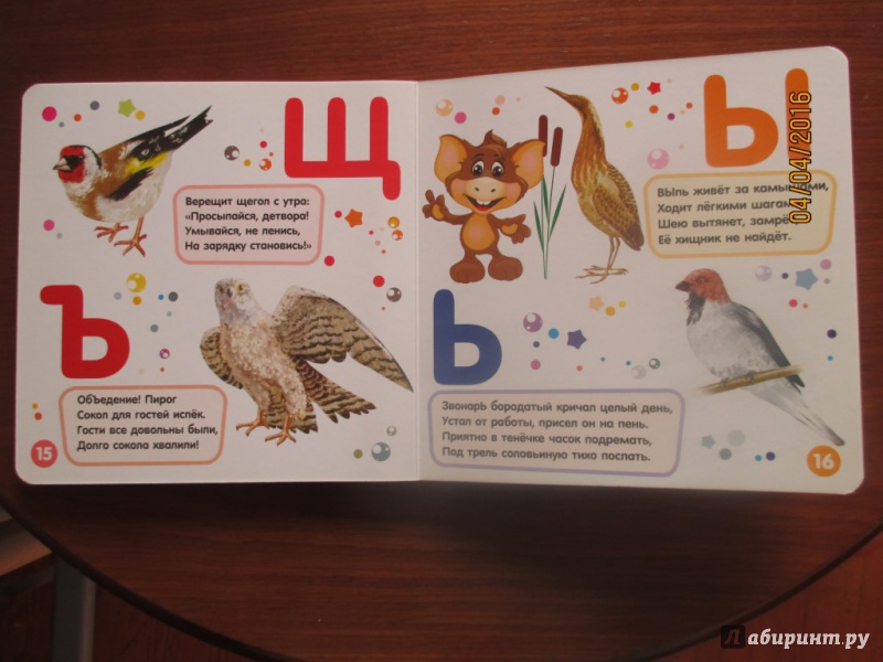 Иллюстрация 10 из 11 для Цедрик и азбука птиц - Наташа Гном | Лабиринт - книги. Источник: Марина Епифанцева