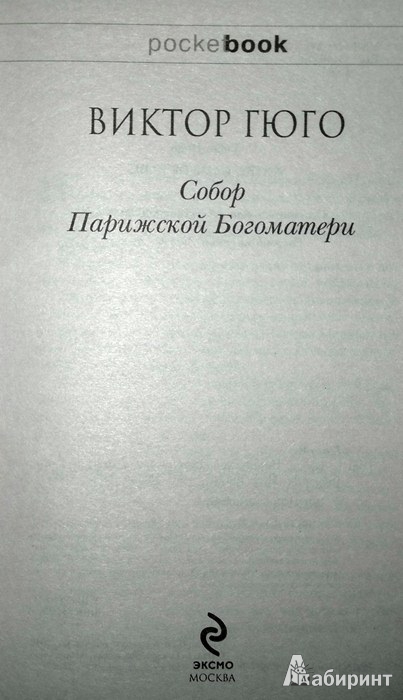 Иллюстрация 2 из 8 для Собор Парижской Богоматери - Виктор Гюго | Лабиринт - книги. Источник: Леонид Сергеев