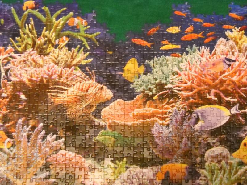 Иллюстрация 18 из 24 для Puzzle-1000 Коралловый риф | Лабиринт - игрушки. Источник: Гололобова  Надежда