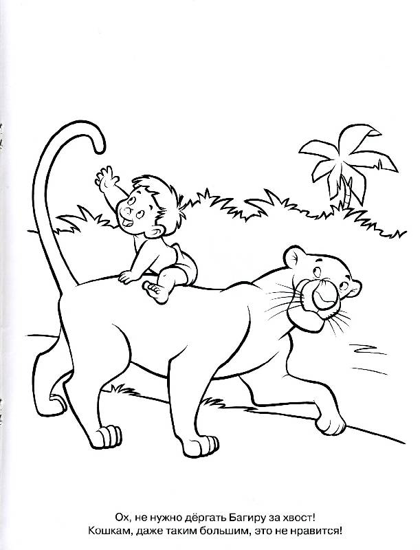 Иллюстрация 3 из 3 для Книга джунглей 0805 Волшебная раскраска | Лабиринт - книги. Источник: РИВА