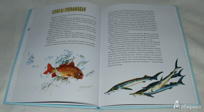Иллюстрация 31 из 65 для Приключения Карпика - Андрей Клыков | Лабиринт - книги. Источник: Книжный кот