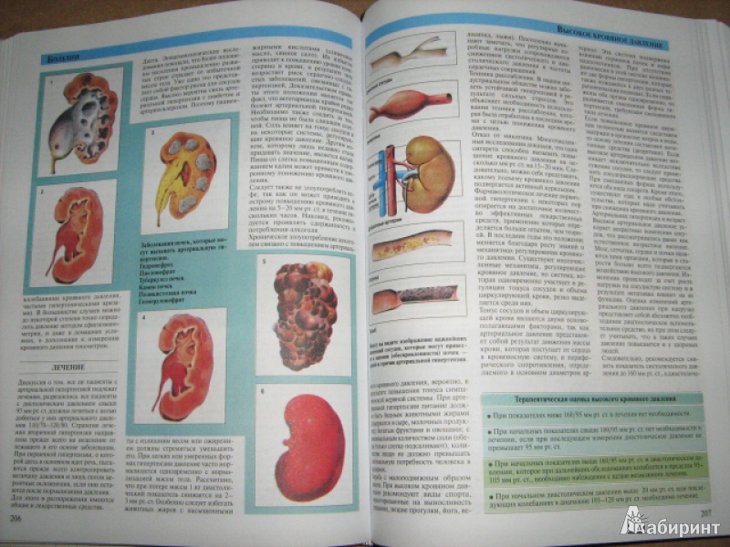 Иллюстрация 18 из 28 для Большая медицинская энциклопедия | Лабиринт - книги. Источник: Mashutka
