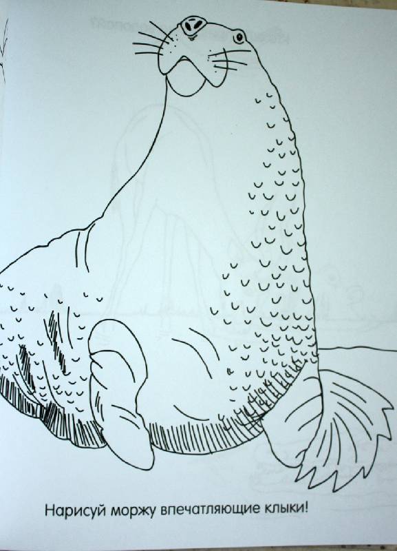 Иллюстрация 9 из 15 для Каляки-зверяки (желтая) | Лабиринт - книги. Источник: ArtOlga