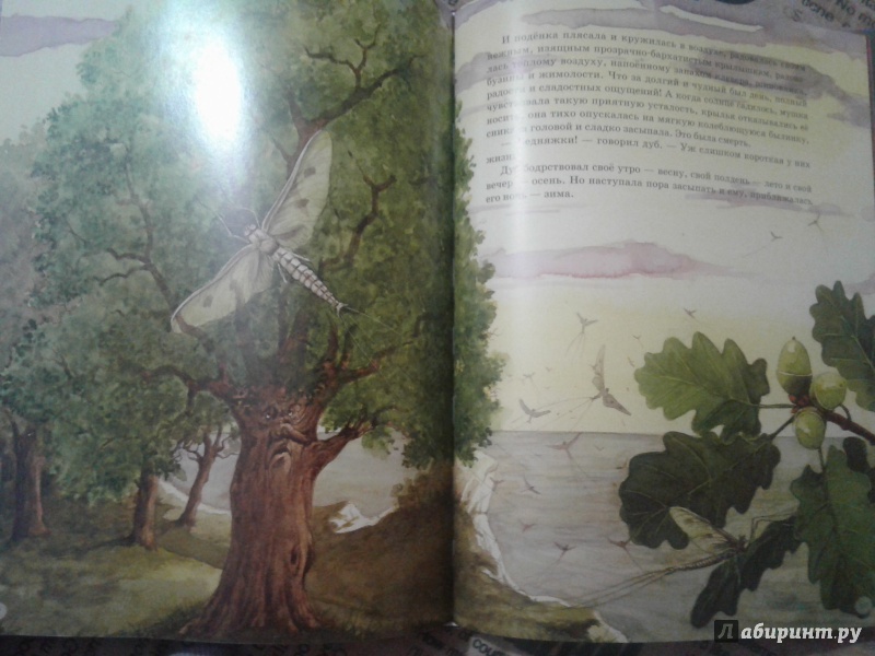 Иллюстрация 15 из 17 для Сказки - Ханс Андерсен | Лабиринт - книги. Источник: Елена