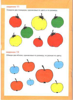 Иллюстрация 6 из 15 для И цвет, и форма, и размер - Ксения Крот | Лабиринт - книги. Источник: Виноградова  Екатерина Евгеньевна
