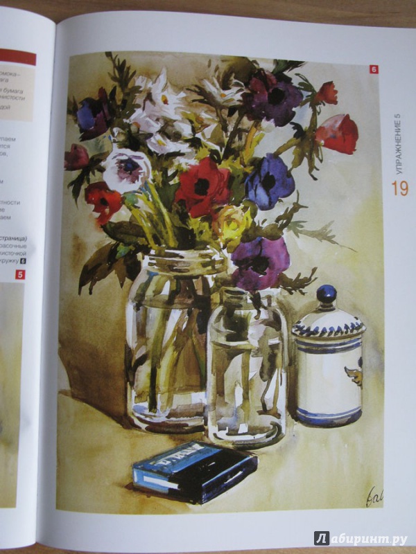 Иллюстрация 13 из 17 для Рисуем цветы. Экспресс - курс - Myriam Ferron | Лабиринт - книги. Источник: Sova