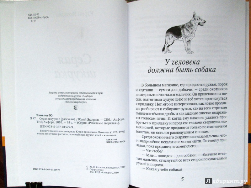 Иллюстрация 7 из 26 для Серая шкурка - Юрий Яковлев | Лабиринт - книги. Источник: Зеленая шляпа