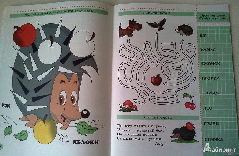 Иллюстрация 20 из 27 для Ребятам о зверятах. | Лабиринт - книги. Источник: ОксанаШ