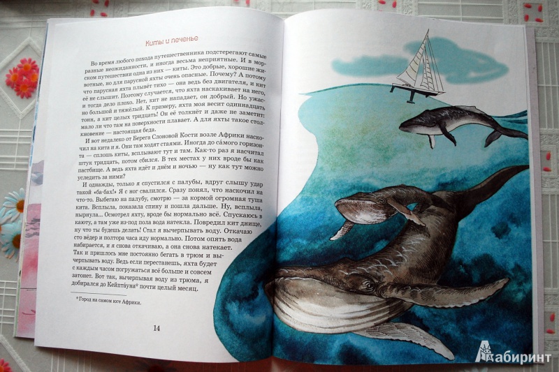 Иллюстрация 51 из 58 для Как я стал путешественником - Федор Конюхов | Лабиринт - книги. Источник: BlinDash