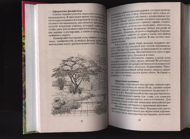 Иллюстрация 30 из 45 для Современный сад - Майя Александрова | Лабиринт - книги. Источник: Романтик-Негодяй