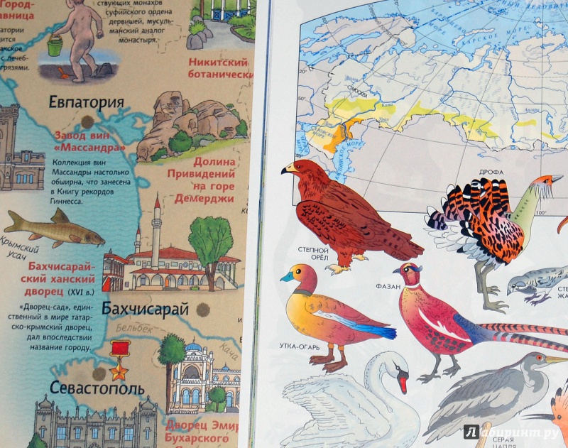 Иллюстрация 45 из 154 для Карты России - Александр Голубев | Лабиринт - книги. Источник: Дядя Женя