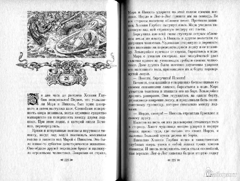 Иллюстрация 17 из 24 для Саламандастрон - Брайан Джейкс | Лабиринт - книги. Источник: Дочкин  Сергей Александрович