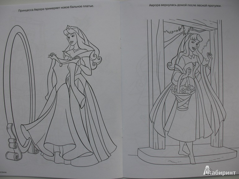 Иллюстрация 6 из 7 для Волшебная раскраска. Принцессы (№13170) | Лабиринт - книги. Источник: ЕленкаС