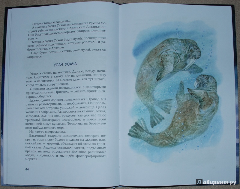 Иллюстрация 20 из 45 для В гостях у белого медведя - Олег Бундур | Лабиринт - книги. Источник: Книжный кот