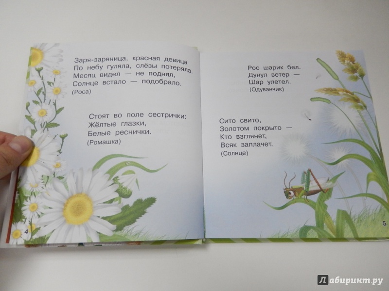 Иллюстрация 9 из 48 для Книга загадок - Валентина Дмитриева | Лабиринт - книги. Источник: dbyyb