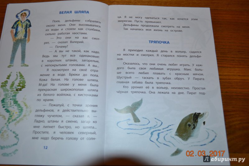 Иллюстрация 20 из 32 для Дельфиний остров - Святослав Сахарнов | Лабиринт - книги. Источник: Белоус Марина