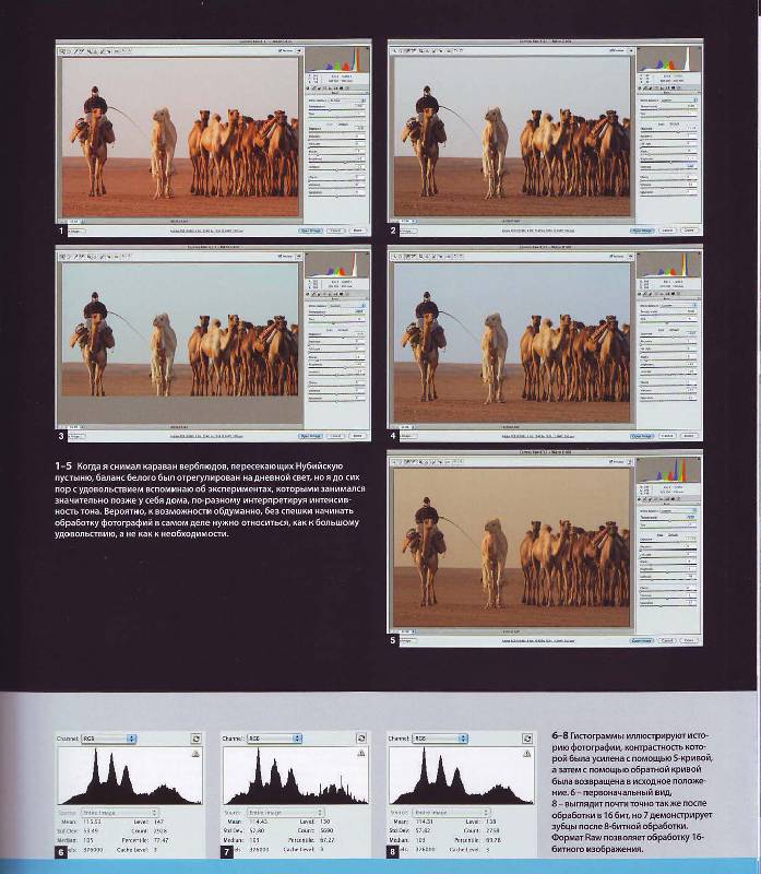 Иллюстрация 18 из 26 для 101 секрет цифровой фотографии от Майкла Фримана - Майкл Фриман | Лабиринт - книги. Источник: Матрёна