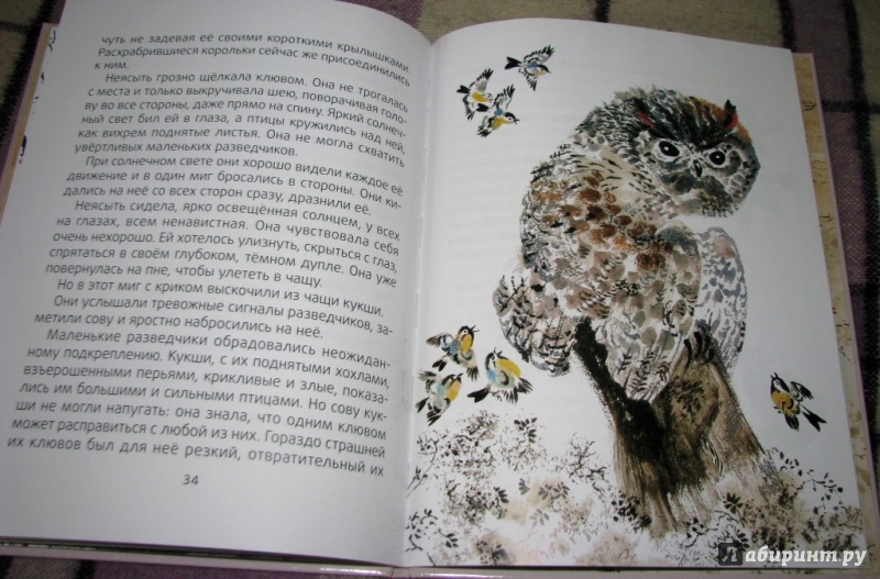 Иллюстрация 32 из 45 для Лесные разведчики - Виталий Бианки | Лабиринт - книги. Источник: Бог в помощь
