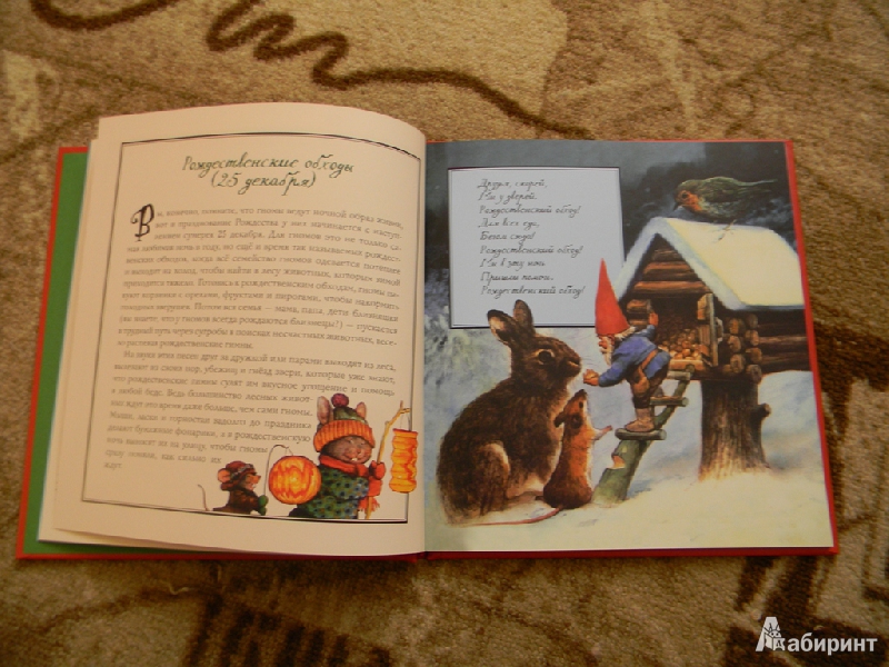 Иллюстрация 46 из 64 для Рождество гномов | Лабиринт - книги. Источник: Раскова  Юлия