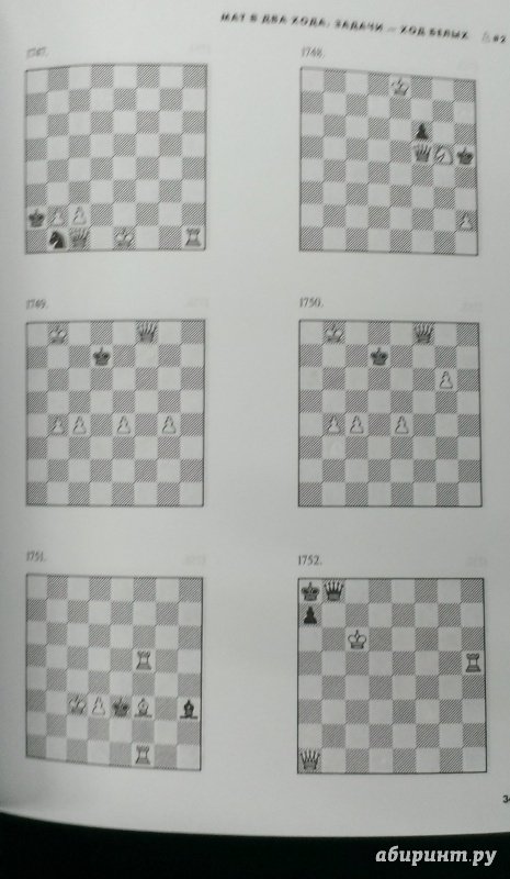 Иллюстрация 12 из 16 для Шахматы. 5334 задачи, комбинации и партии - Ласло Полгар | Лабиринт - книги. Источник: Савчук Ирина