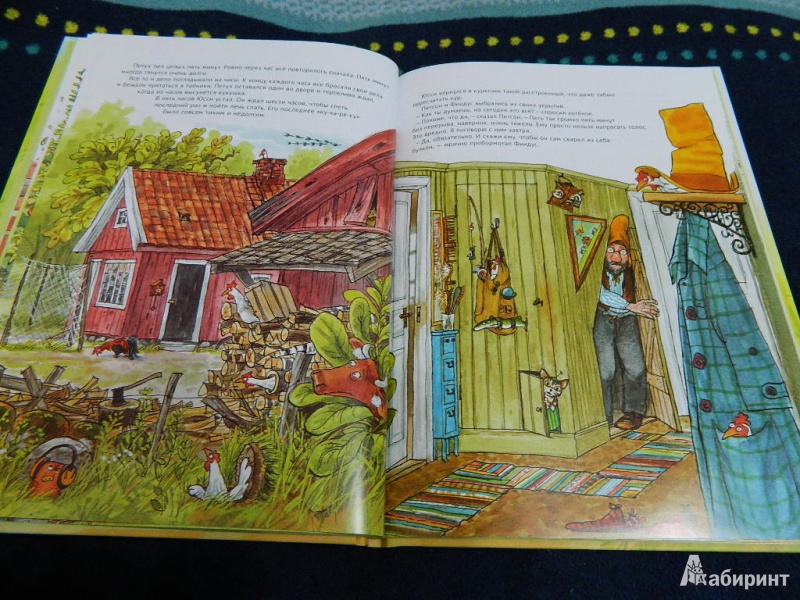 Иллюстрация 23 из 47 для Чужак в огороде - Свен Нурдквист | Лабиринт - книги. Источник: Мама Ольга