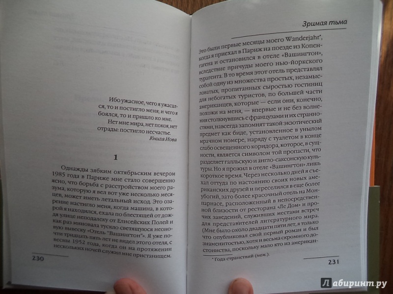 Иллюстрация 18 из 20 для Самоубийственная гонка. Зримая тьма - Уильям Стайрон | Лабиринт - книги. Источник: Kirill  Badulin