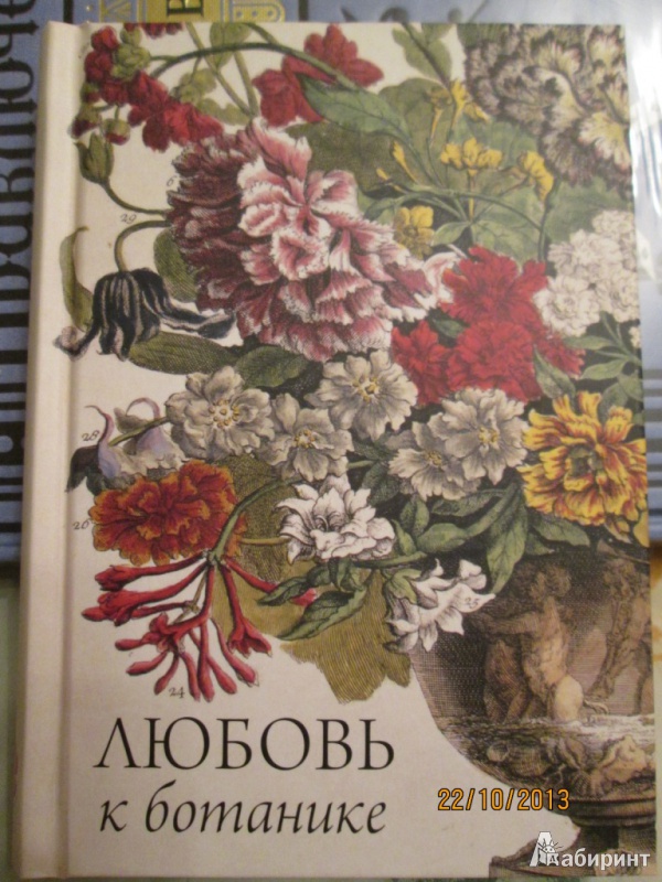 Иллюстрация 26 из 58 для Любовь к ботанике | Лабиринт - книги. Источник: Алонсо Кихано