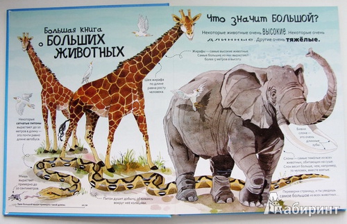 Иллюстрация 4 из 14 для Большая книга о больших животных. Для детей от 4 лет | Лабиринт - книги. Источник: priTA