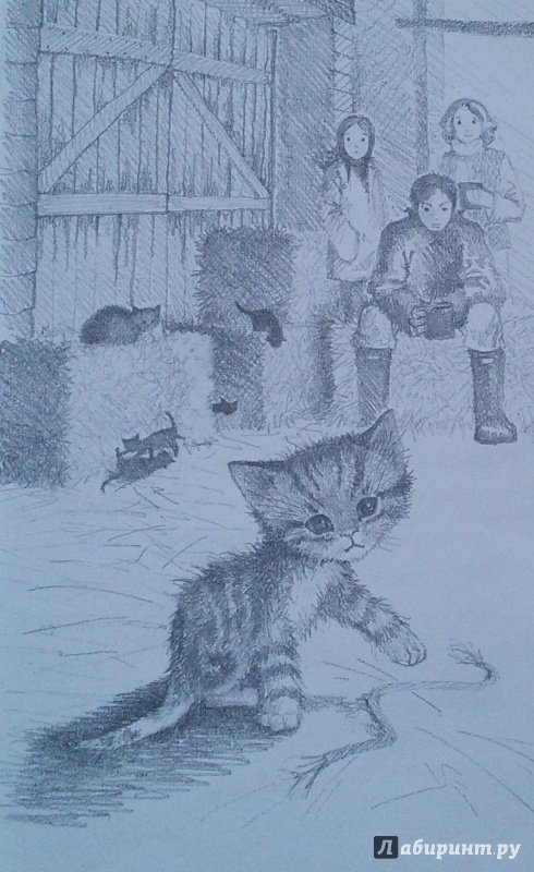 Иллюстрация 47 из 81 для Котёнок Пушинка, или Рождественское чудо - Холли Вебб | Лабиринт - книги. Источник: Лабиринт