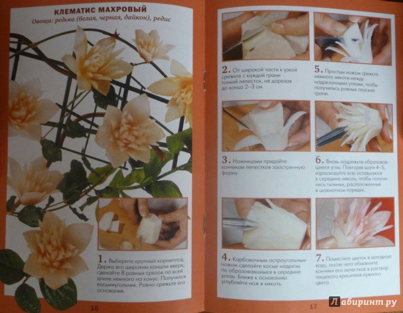 Иллюстрация 7 из 35 для Махровые цветы - Маргарита Кузнецова | Лабиринт - книги. Источник: SiB