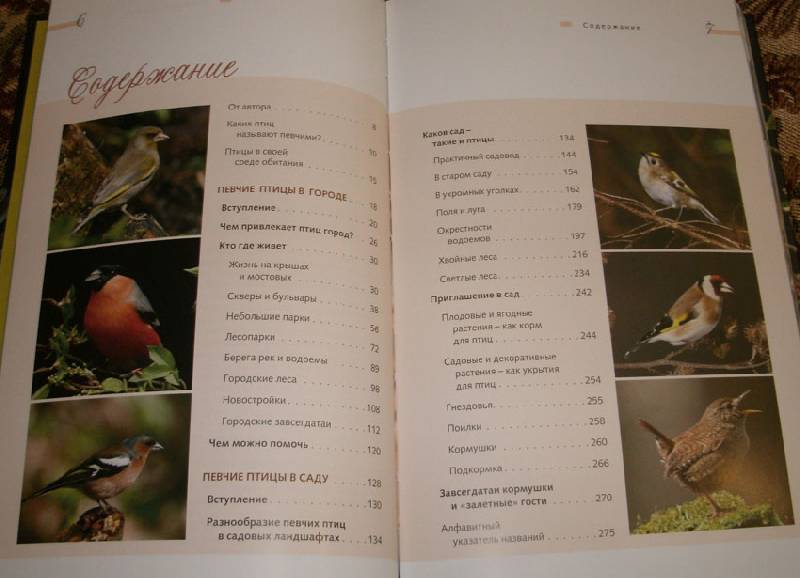 Иллюстрация 3 из 14 для Певчие птицы - Митителло, Хромушин | Лабиринт - книги. Источник: Ёжик