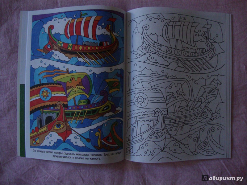 Иллюстрация 3 из 8 для Раскраска с цветными картинками. Удивительные картинки | Лабиринт - книги. Источник: Ш.  Алла