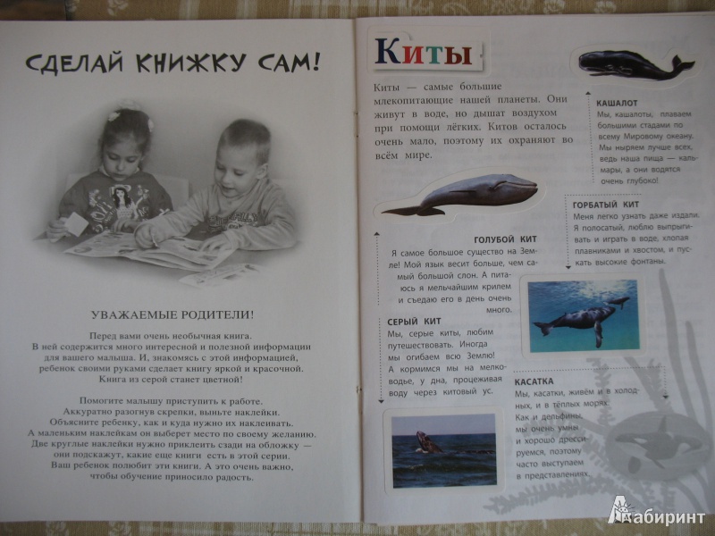 Иллюстрация 2 из 11 для Морские животные. 45 интересных фактов - Наталья Костина | Лабиринт - книги. Источник: Tatyana_G