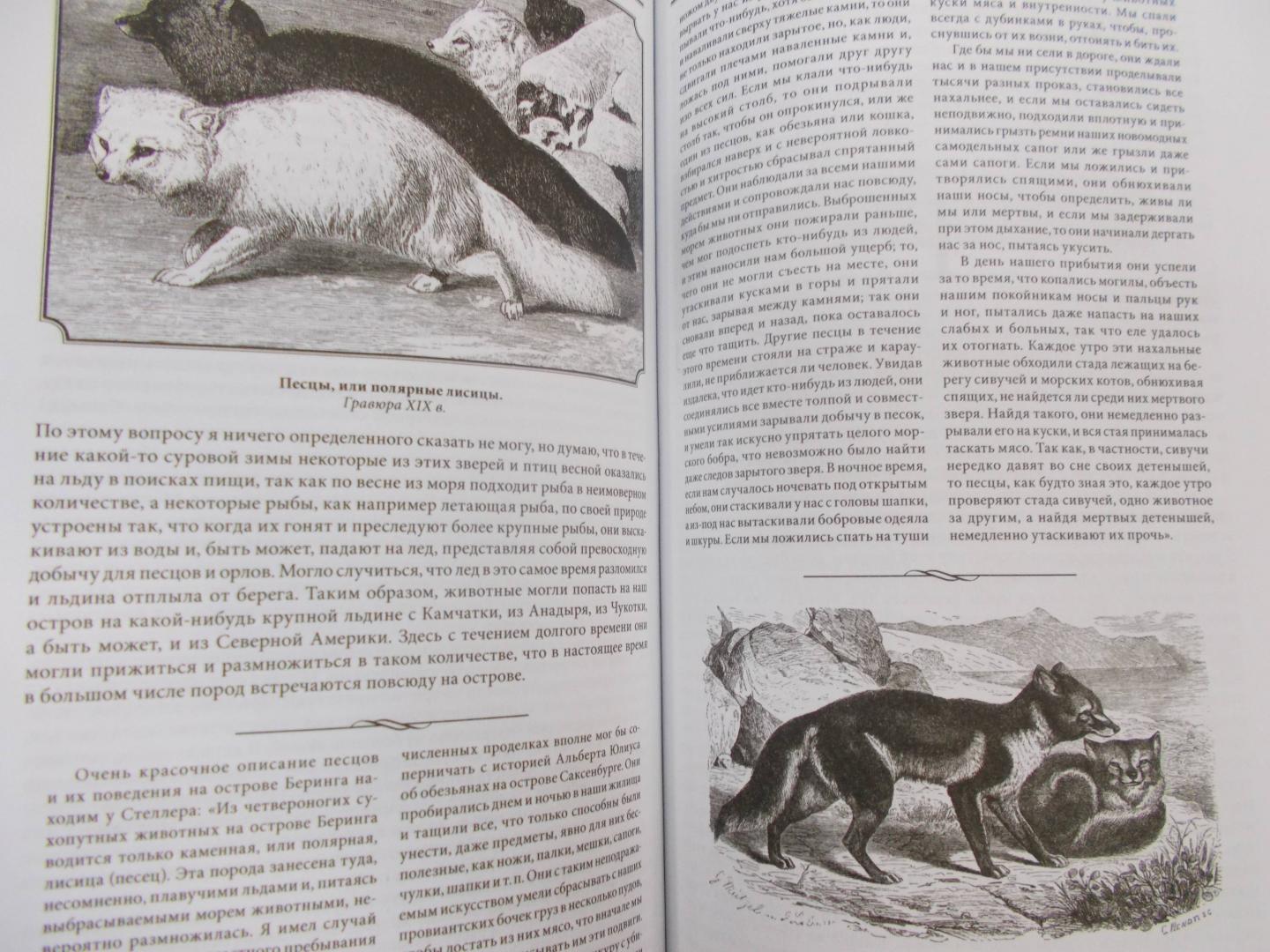 Иллюстрация 32 из 34 для Камчатские экспедиции - Витус Беринг | Лабиринт - книги. Источник: Коваль  Татьяна