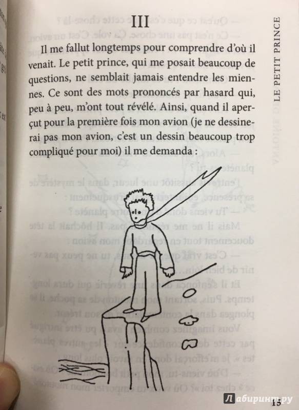 Иллюстрация 19 из 25 для Le Petit Prince. Vol De Nuit - Антуан Сент-Экзюпери | Лабиринт - книги. Источник: Lina