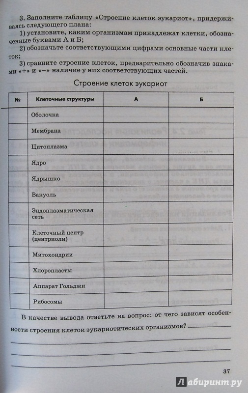 Иллюстрация 28 из 33 для Биология. Общая биология. 10-11 классы. Рабочая тетрадь к учебнику А.А. Каменского и др. - Пасечник, Швецов | Лабиринт - книги. Источник: Соловьев  Владимир