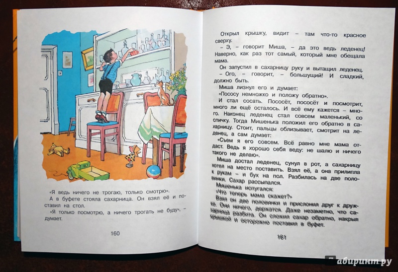 Иллюстрация 60 из 63 для "Бобик в гостях у Барбоса" и другие рассказы - Николай Носов | Лабиринт - книги. Источник: nata_romina