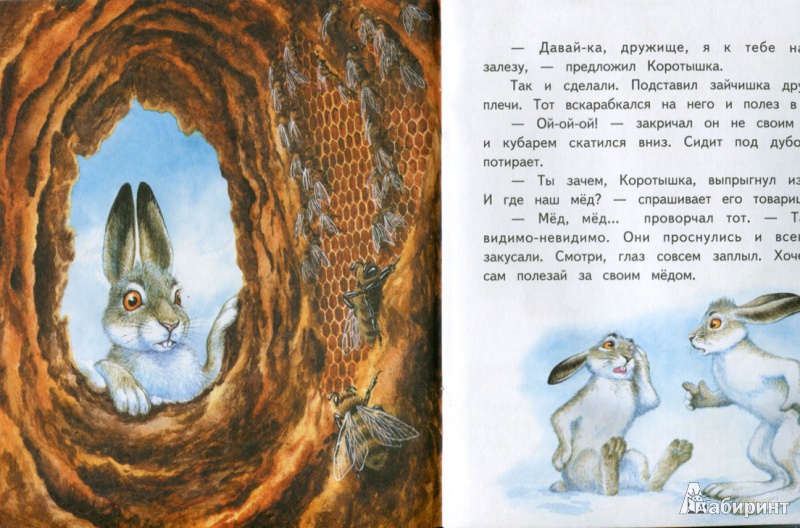 Иллюстрация 4 из 19 для Как зайцы решили медведями стать - Елена Ермолова | Лабиринт - книги. Источник: Чупина  Людмила