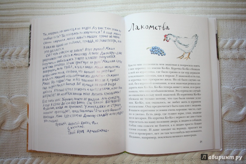 Иллюстрация 15 из 21 для Письма с моей фермы (+ CD) - Маша Слоним | Лабиринт - книги. Источник: Иванова  Анна