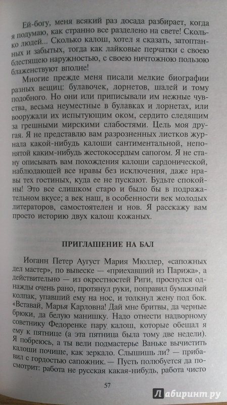 Иллюстрация 25 из 31 для Тарантас - Владимир Соллогуб | Лабиринт - книги. Источник: Подмосковная панда