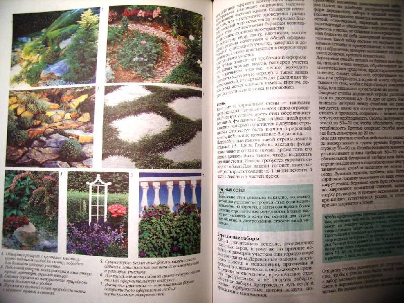 Иллюстрация 38 из 41 для Большая книга садовода и огородника - Октябрина Ганичкина | Лабиринт - книги. Источник: Алёнка