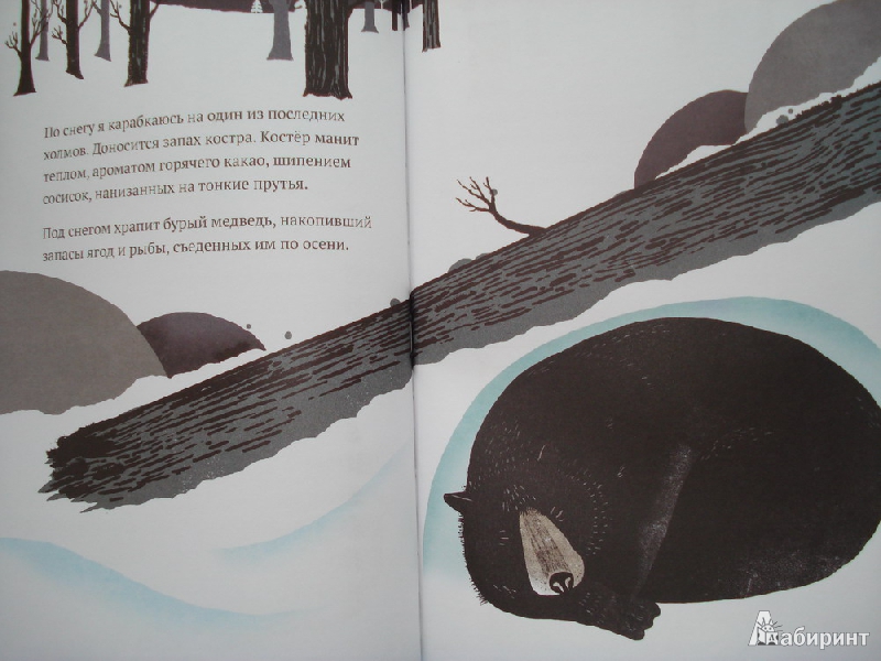 Иллюстрация 41 из 45 для На снегу и под снегом - Кейт Месснер | Лабиринт - книги. Источник: Алиса