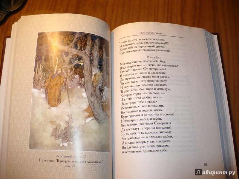 Иллюстрация 12 из 26 для Буря - Уильям Шекспир | Лабиринт - книги. Источник: Голиков  Сергей Юрьевич