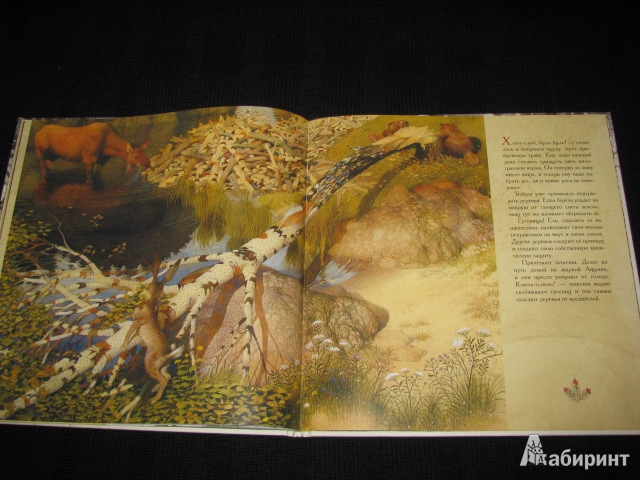 Иллюстрация 57 из 70 для Жизнь в тайге - Бренда Гиберсон | Лабиринт - книги. Источник: Nemertona
