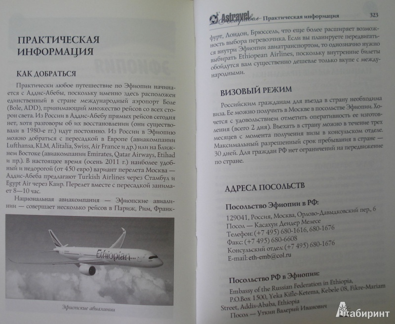 Иллюстрация 12 из 13 для Эфиопия. "С отдыхающей львицею схожа..." - Позднякова, Ярошевский | Лабиринт - книги. Источник: helgmar