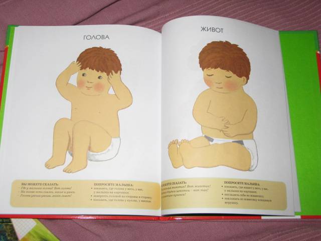 Иллюстрация 29 из 45 для Я играю и расту: Развитие малыша от 6 до 18 месяцев | Лабиринт - книги. Источник: Nattali